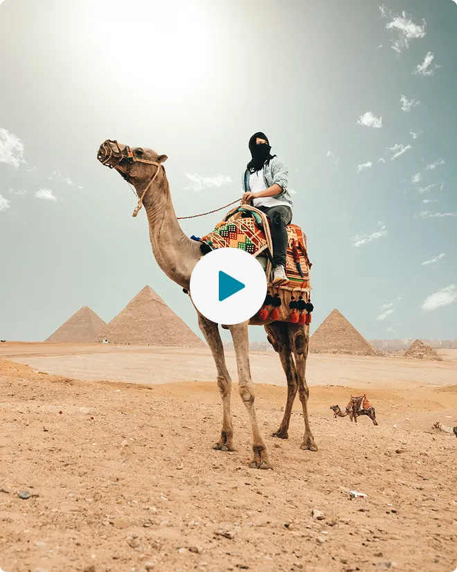Sharm El Sheikh Video Review Alex, Berlin