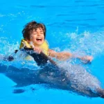 Swimming with Dolphins