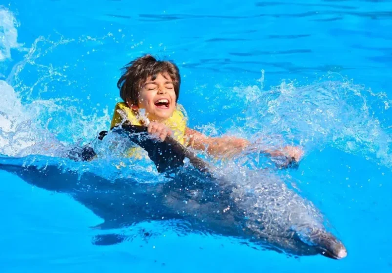 Swimming with Dolphins