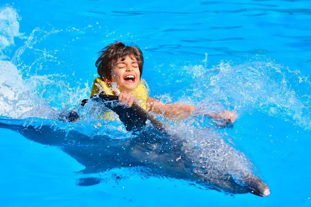 Swimming with Dolphins Sharm El Sheikh Tours Excursions with Transfers and Professional Guides