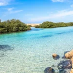 White Island