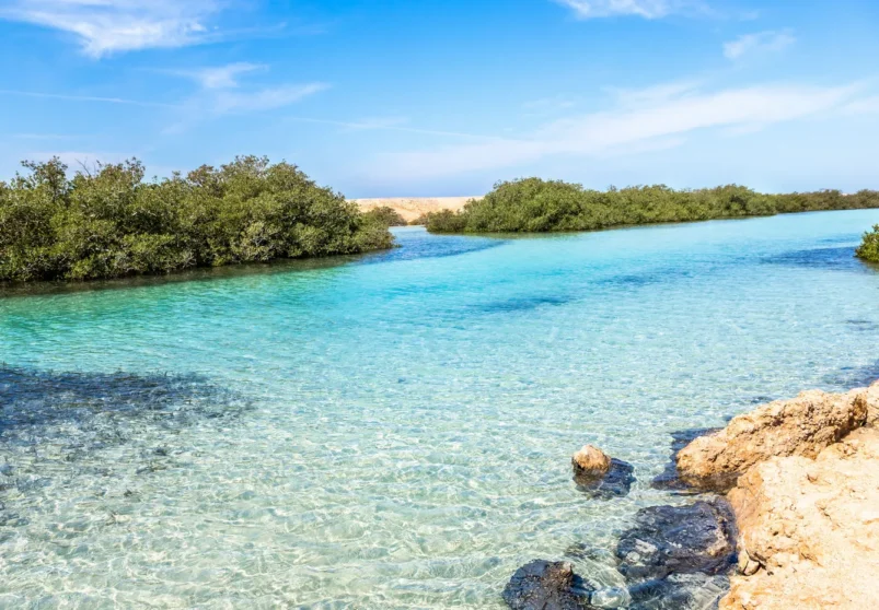 White Island