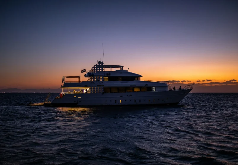 How to Choose the Right Tour in Sharm El Sheikh